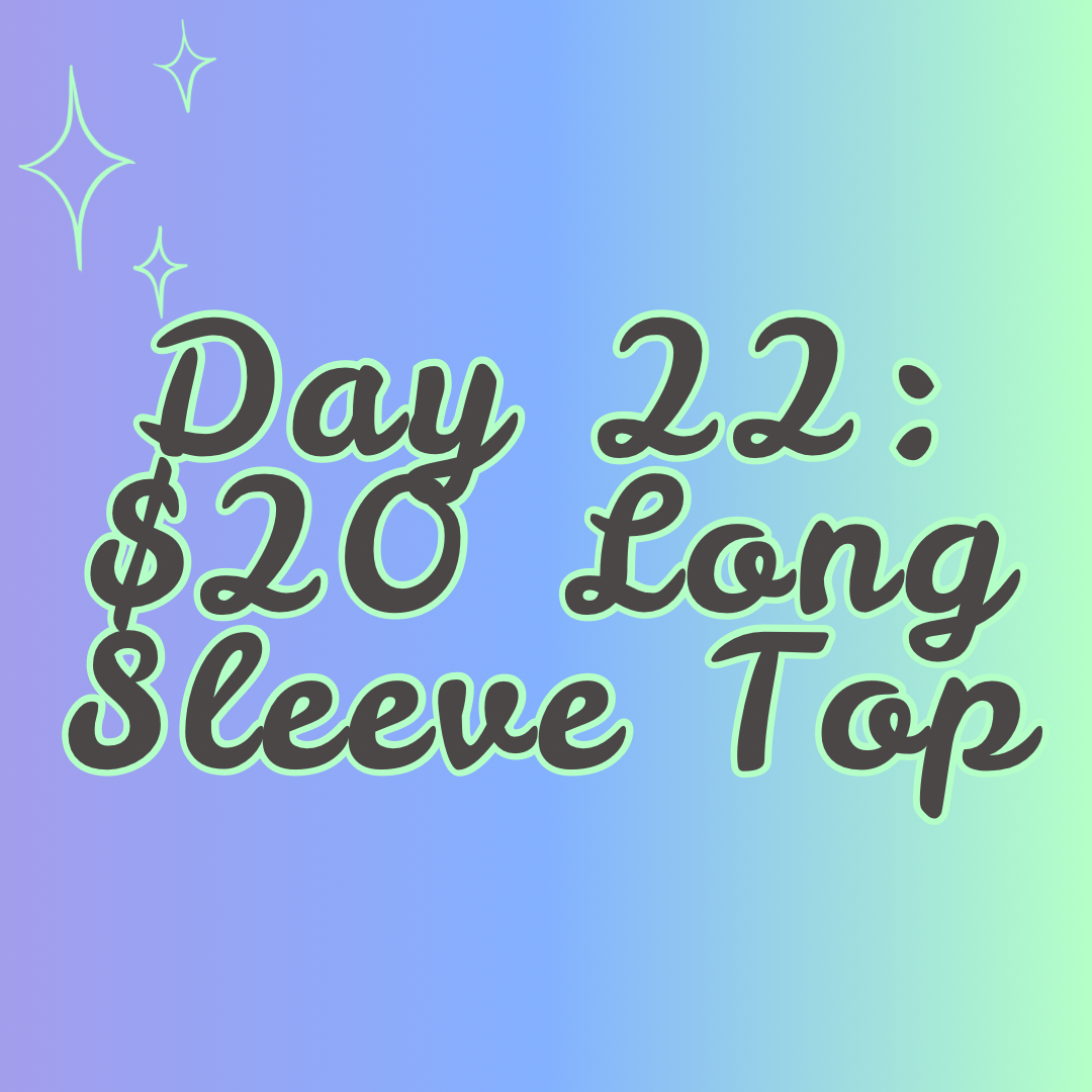 $20 Long Sleeve Basic Top